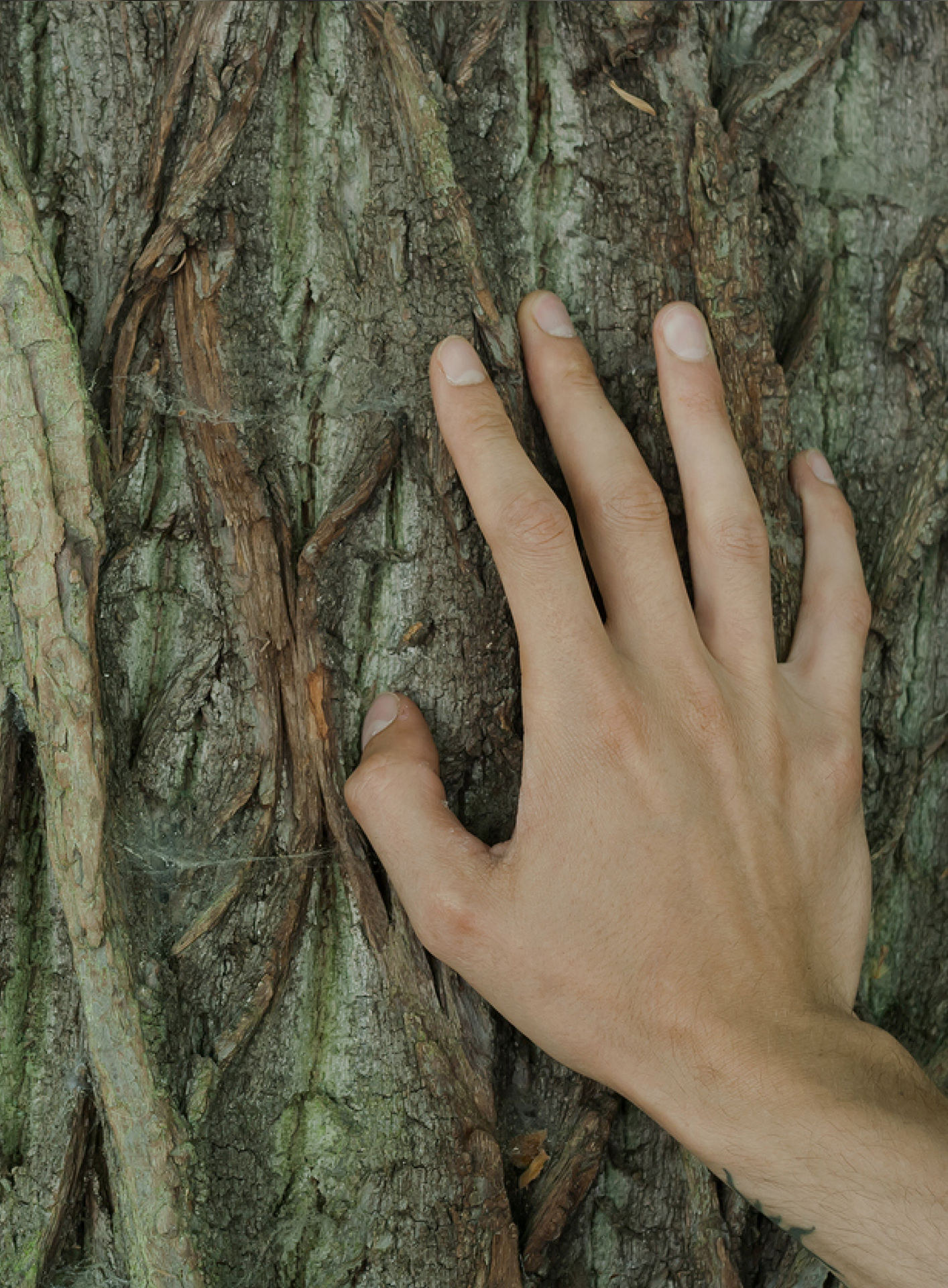 Rispetto per l'ambiente